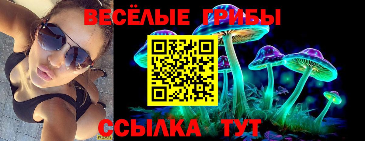 Псилоцибиновые грибы мухоморы  Вход с VPN  Галлюциногенные грибы прущие грибы  Карталы 